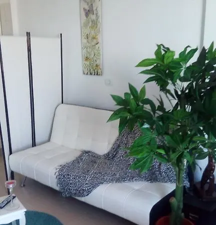 Siam Apartament * Costa Adeje (Tenerife)